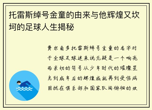 托雷斯绰号金童的由来与他辉煌又坎坷的足球人生揭秘 托雷斯绰号金童的由来与他辉煌又坎坷的足球人生揭秘