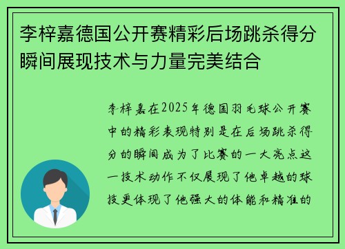 李梓嘉德国公开赛精彩后场跳杀得分瞬间展现技术与力量完美结合
